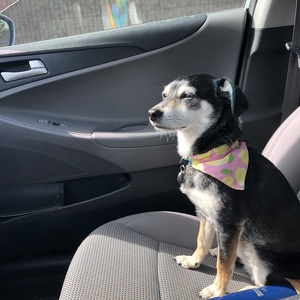 Jessica + Sandwich Cummins